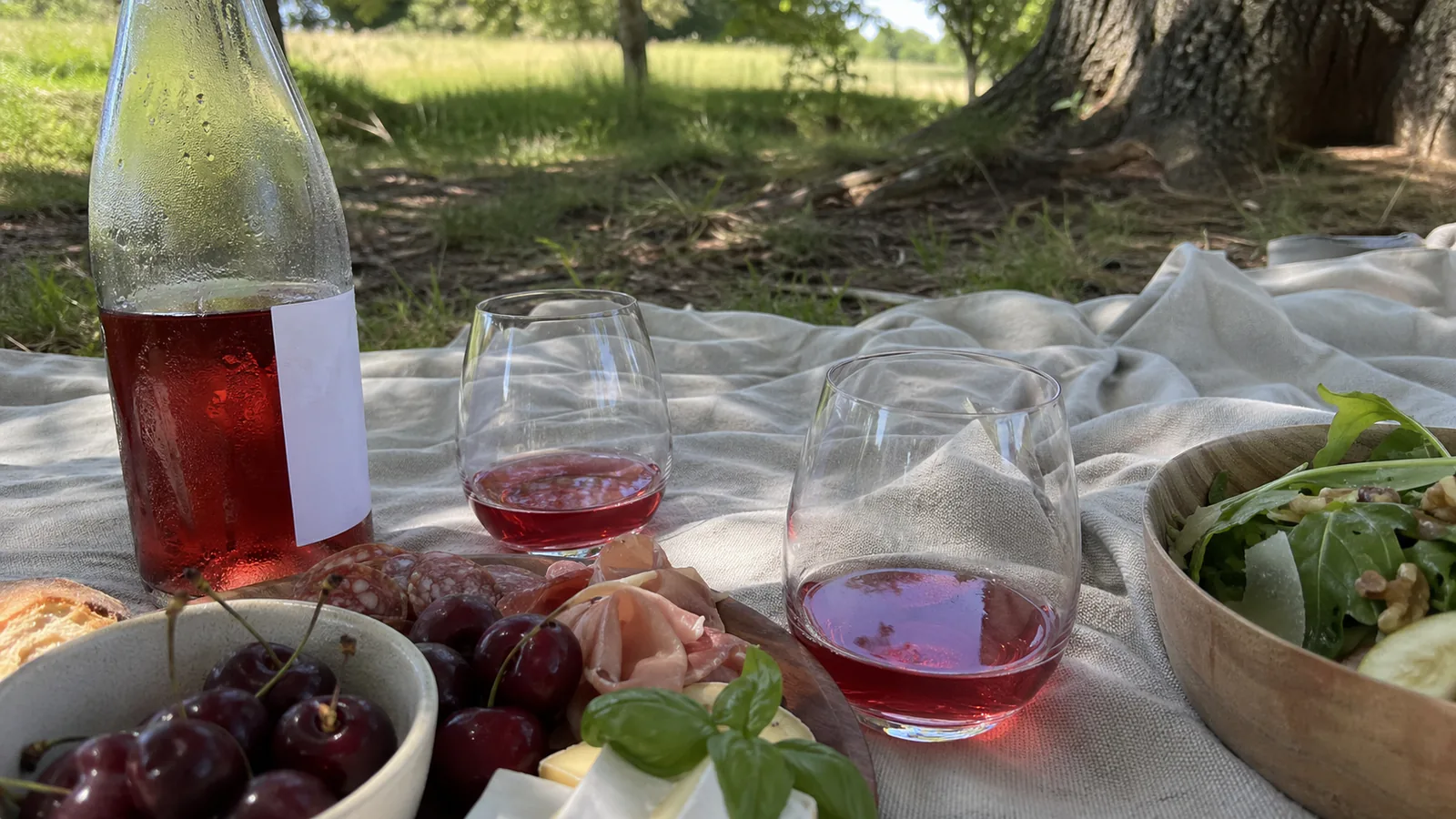 Best Light Red Wines: 8 Easy-Drinking Bottles