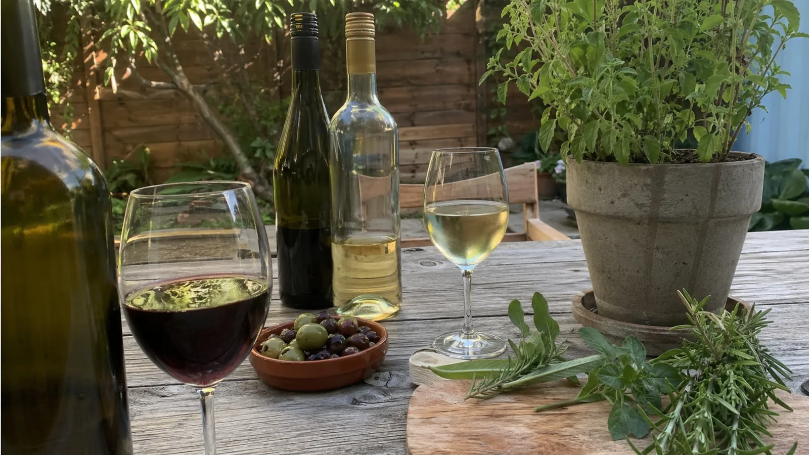 Best Organic Wines: 12 Bottles Worth Buying