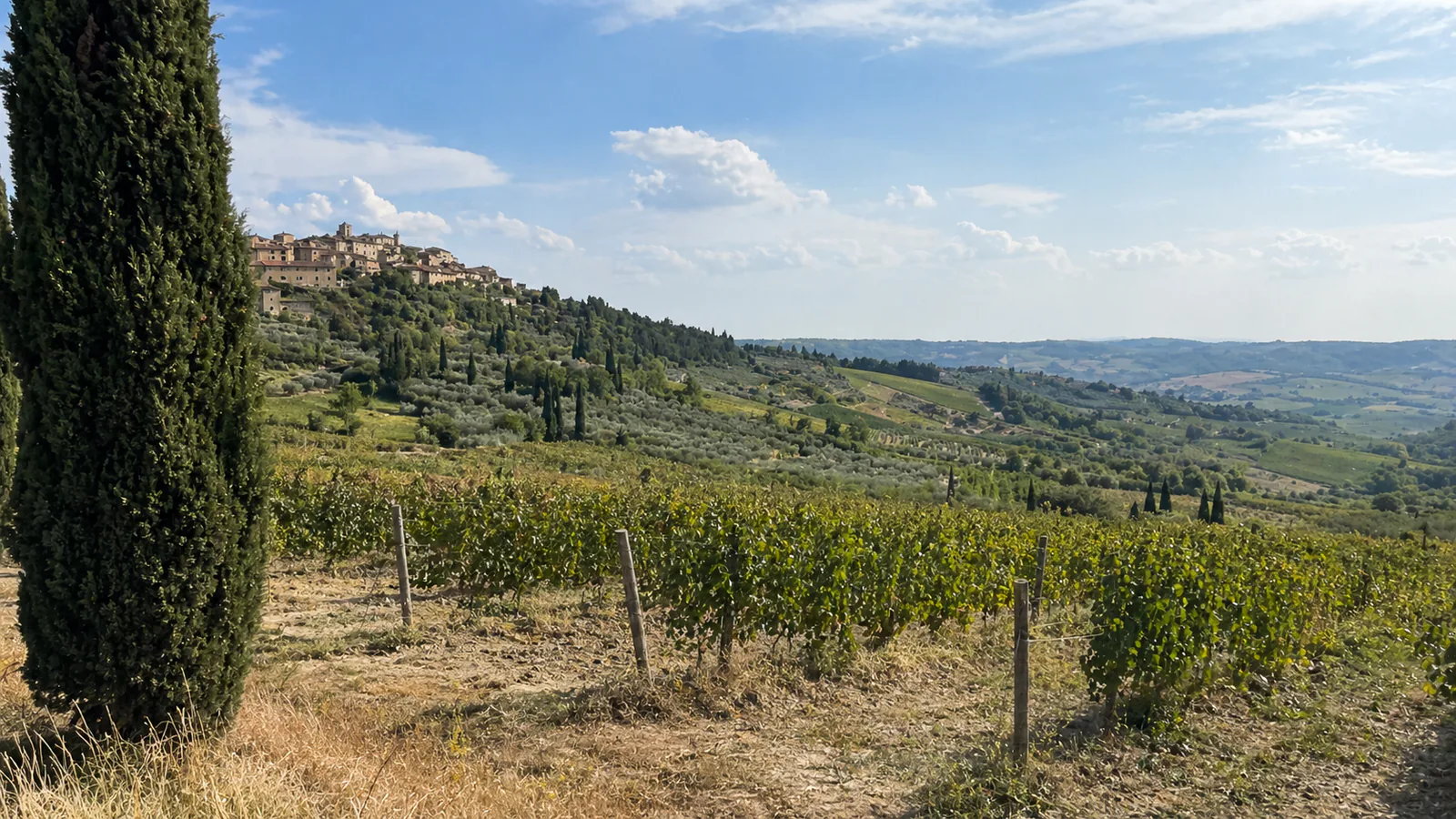 Italy Wine Guide: Regions, Grapes, and Where to Start