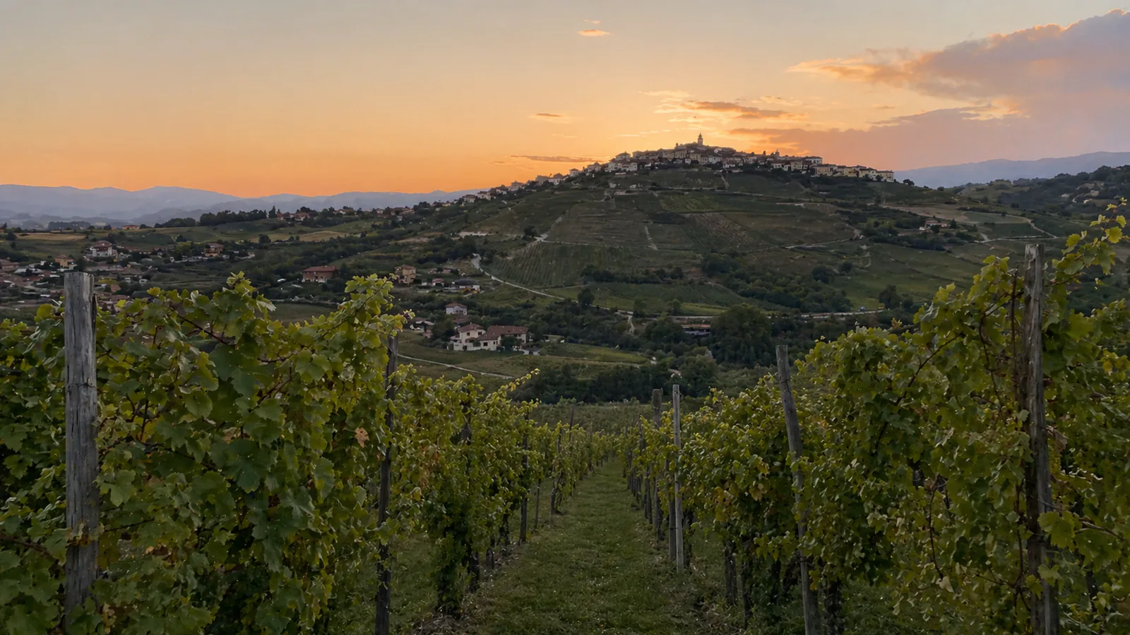 Piedmont Wine: Barolo, Barbaresco, Nebbiolo Guide